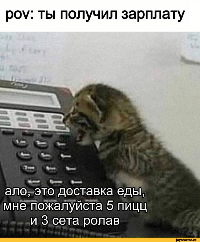 ﻿роу: ты получил зарплату
алогэто доставка еды, мне пожалуйста 5 пицц и 3 сета ролав,Прикольные картинки,картинка с текстом,удалённое