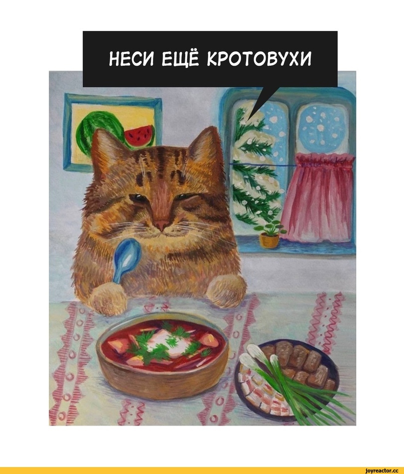 Прикольные картинки,котэ,прикольные картинки с кошками,кротовуха,Мемы,Мемосы, мемасы, мемосики, мемесы,удалённое