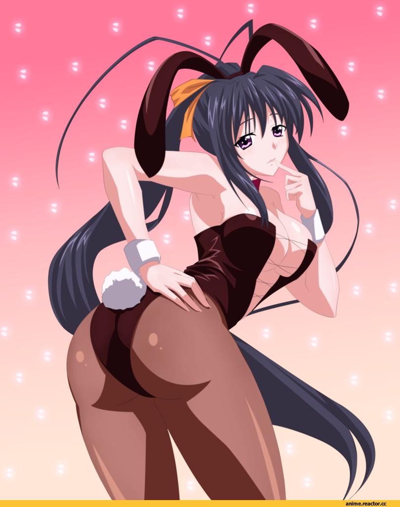 Anime,Аниме,Highschool DxD,Himejima Akeno,Usagimimi,Animal Ears (Anime),Kemonomimi, Девушки с ушками, Anime Ears,Anime,fandoms,High School DxD,himejima akeno,Usagimimi,Animal Ears,Anime Unsorted,Anime Unsorted