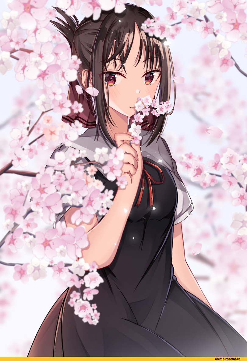 Anime,Аниме,Kaguya-sama wa Kokurasetai ~Tensai-tachi no Renai Zunousen~,Shinomiya Kaguya,norazura,Anime,fandoms,kaguya-sama wa kokurasetai ~tensai-tachi no renai zunousen~,shinomiya kaguya,norazura,Anime Unsorted,Anime Unsorted