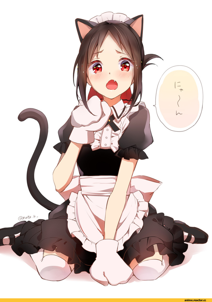 Anime,Аниме,Shinomiya Kaguya,Kaguya-sama wa Kokurasetai ~Tensai-tachi no Renai Zunousen~,nekomimi,Animal Ears (Anime),Kemonomimi, Девушки с ушками, Anime Ears,Maid,Hazuki Natsu,Anime Artist,Аниме арт, Аниме-арт,Anime,fandoms,shinomiya kaguya,kaguya-sama wa kokurasetai ~tensai-tachi no renai