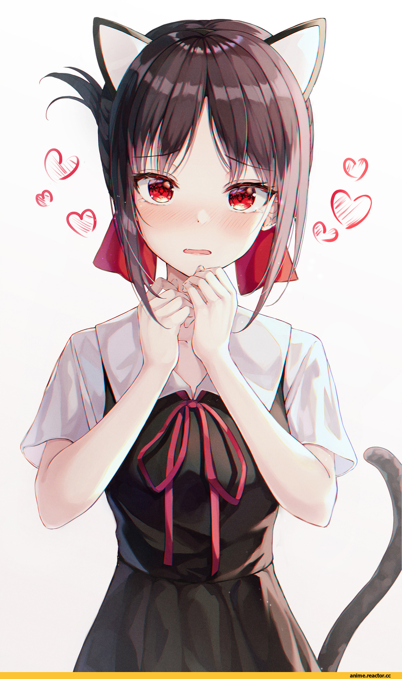 Anime,Аниме,Shinomiya Kaguya,Kaguya-sama wa Kokurasetai ~Tensai-tachi no Renai Zunousen~,nekomimi,Animal Ears (Anime),Kemonomimi, Девушки с ушками, Anime Ears,Wabbajack,Anime,fandoms,shinomiya kaguya,kaguya-sama wa kokurasetai ~tensai-tachi no renai zunousen~,,Animal Ears,Animal