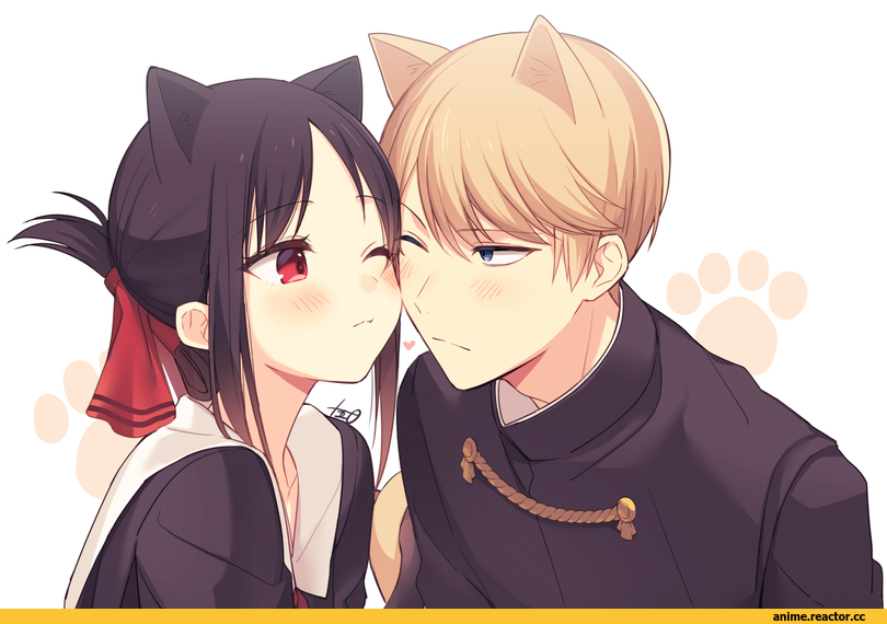 Anime,Аниме,Shinomiya Kaguya,Kaguya-sama wa Kokurasetai ~Tensai-tachi no Renai Zunousen~,shirogane miyuki,nekomimi,Animal Ears (Anime),Kemonomimi, Девушки с ушками, Anime Ears,Animal Ears Kun,juugonichi (wheeliex2),Anime Artist,Аниме арт, Аниме-арт,artist,Anime,fandoms,shinomiya kaguya,kaguya-sama