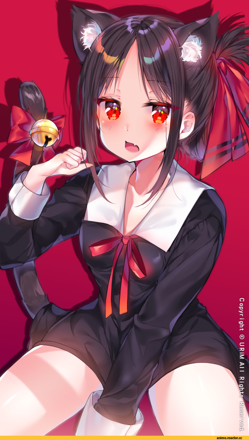 ﻿		
		
/		к. Г ¿y/ v А
		v / ^7 ^,Shinomiya Kaguya,Kaguya-sama wa Kokurasetai ~Tensai-tachi no Renai Zunousen~,Anime,Аниме,Animal Ears (Anime),Kemonomimi, Девушки с ушками, Anime Ears,Anime Artist,Аниме арт, Аниме-арт,artist,urim (paintur),shinomiya kaguya,kaguya-sama wa kokurasetai