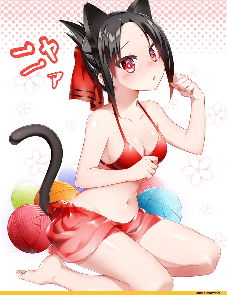 Shinomiya Kaguya,Kaguya-sama wa Kokurasetai ~Tensai-tachi no Renai Zunousen~,Anime,Аниме,Anime Ero Swim,Anime Ero,Взрослые Няшки,Animal Ears (Anime),Kemonomimi, Девушки с ушками, Anime Ears,hago,shinomiya kaguya,kaguya-sama wa kokurasetai ~tensai-tachi no renai zunousen~,Anime,fandoms,Anime Adult