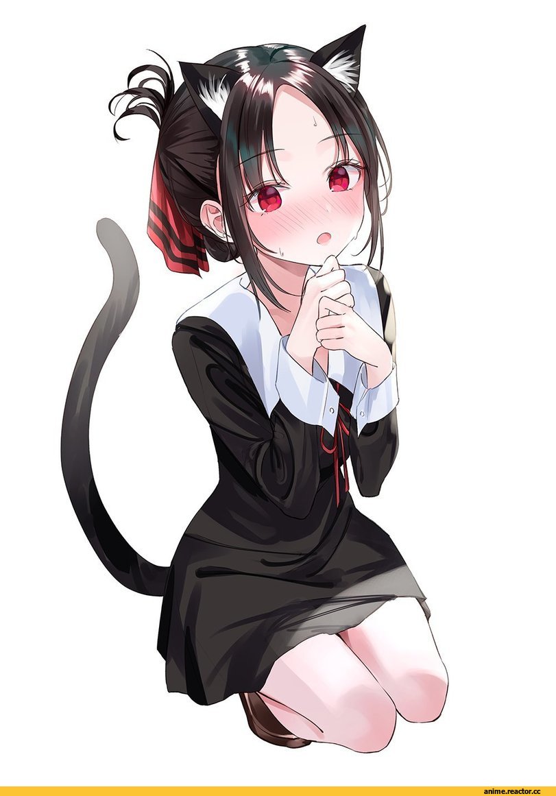 Shinomiya Kaguya,Kaguya-sama wa Kokurasetai ~Tensai-tachi no Renai Zunousen~,Anime,Аниме,nekomimi,Animal Ears (Anime),Kemonomimi, Девушки с ушками, Anime Ears,nabi (uz02),shinomiya kaguya,kaguya-sama wa kokurasetai ~tensai-tachi no renai zunousen~,Anime,fandoms,,Animal Ears,Animal Ears,nabi